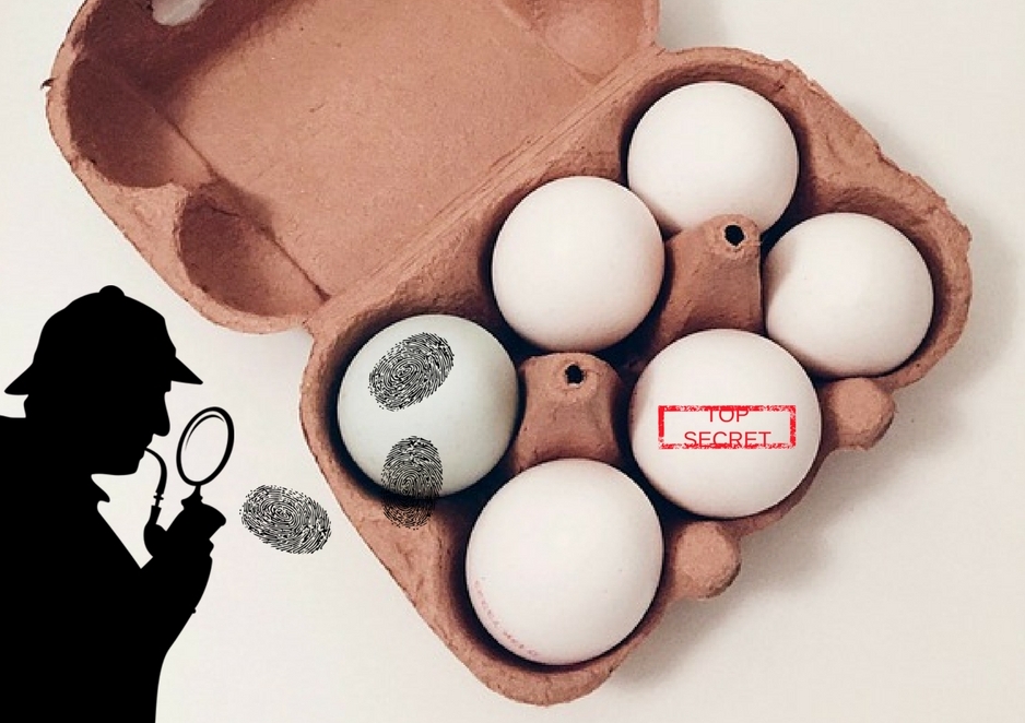 Read more about the article Co skrywa w sobie JAJO?