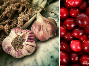 Read more about the article Polskie superfoods, czyli warzywa i owoce obecne w naszym ogródku