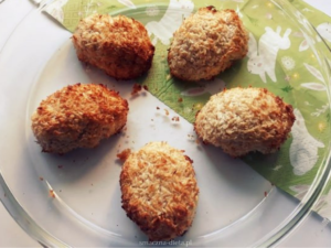 Read more about the article Fit kokosanki